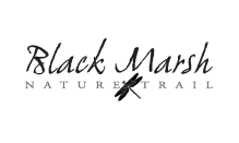 Black Marsh Nature Trail